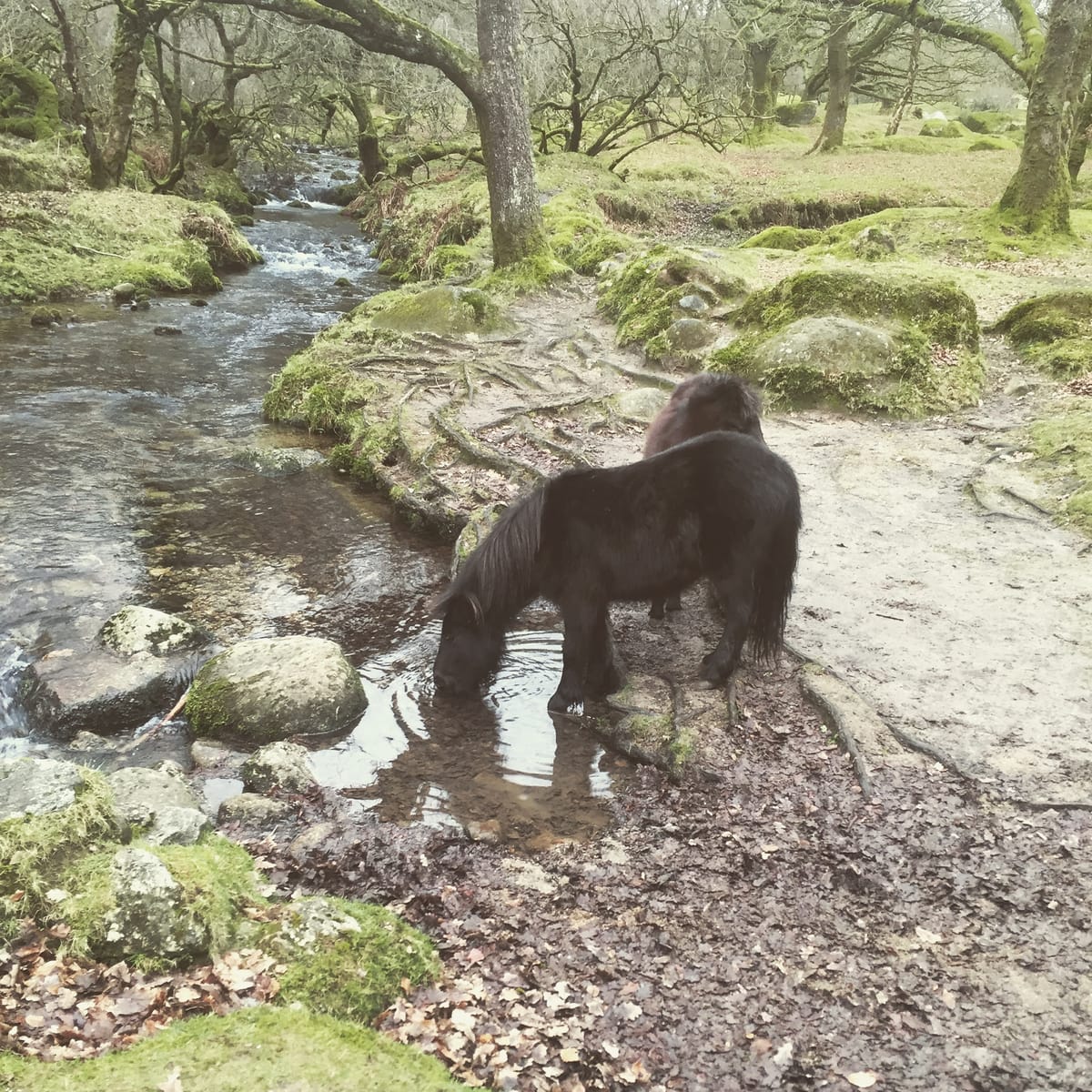 Things About The Countryside That Make Me Angry, And Some Photographs I Have Taken Of Them