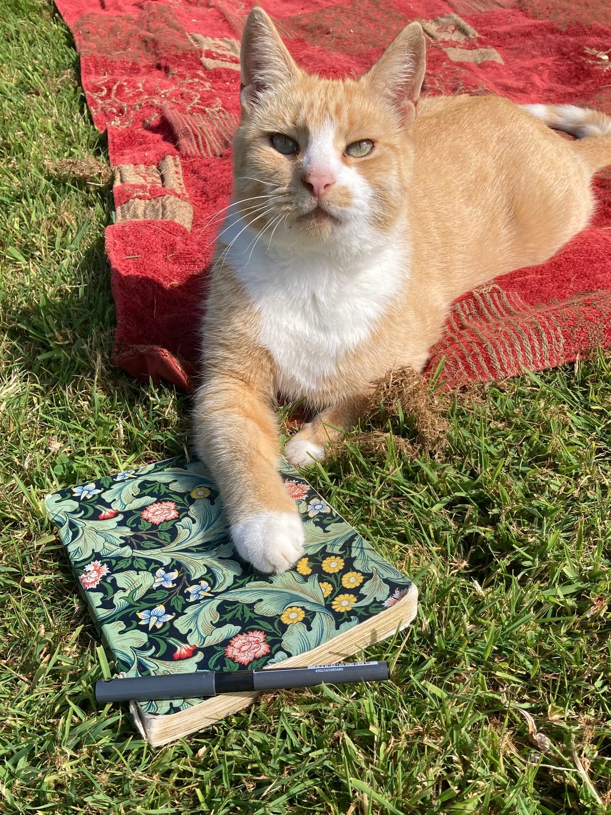Extracts From My Notebooks Part II