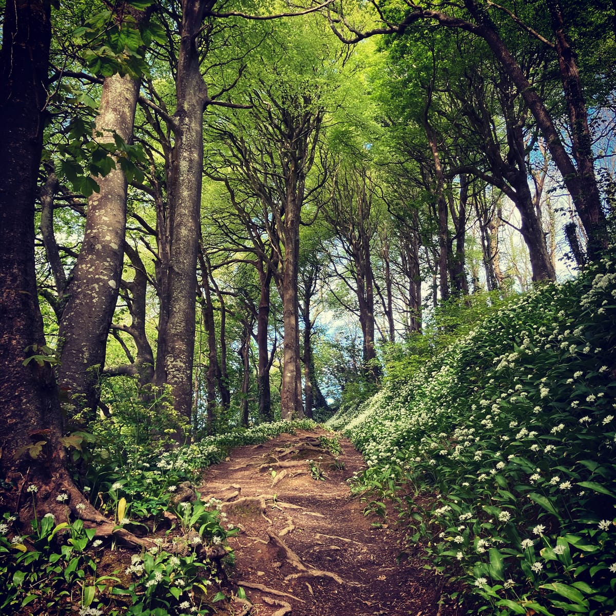 Three Magical Walks Very Few People Know About