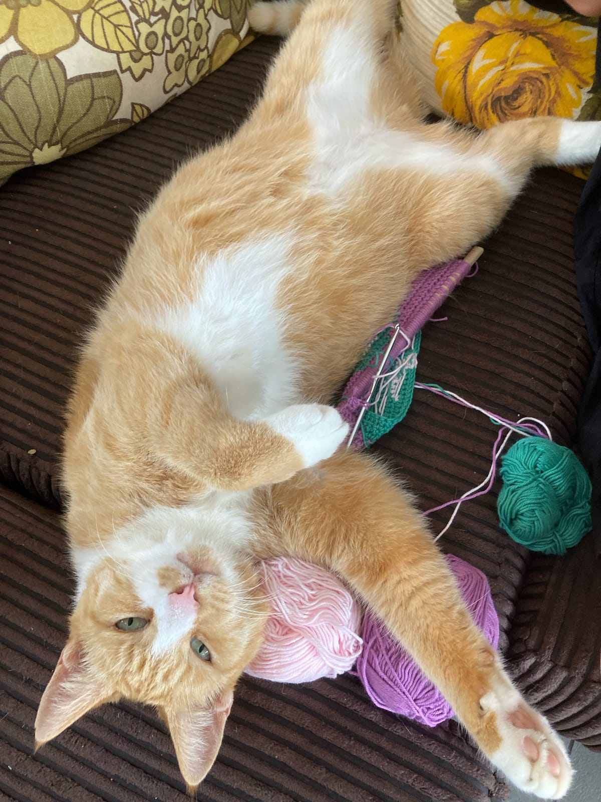 The Ginger Man