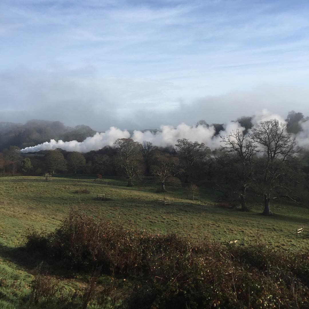 Trains