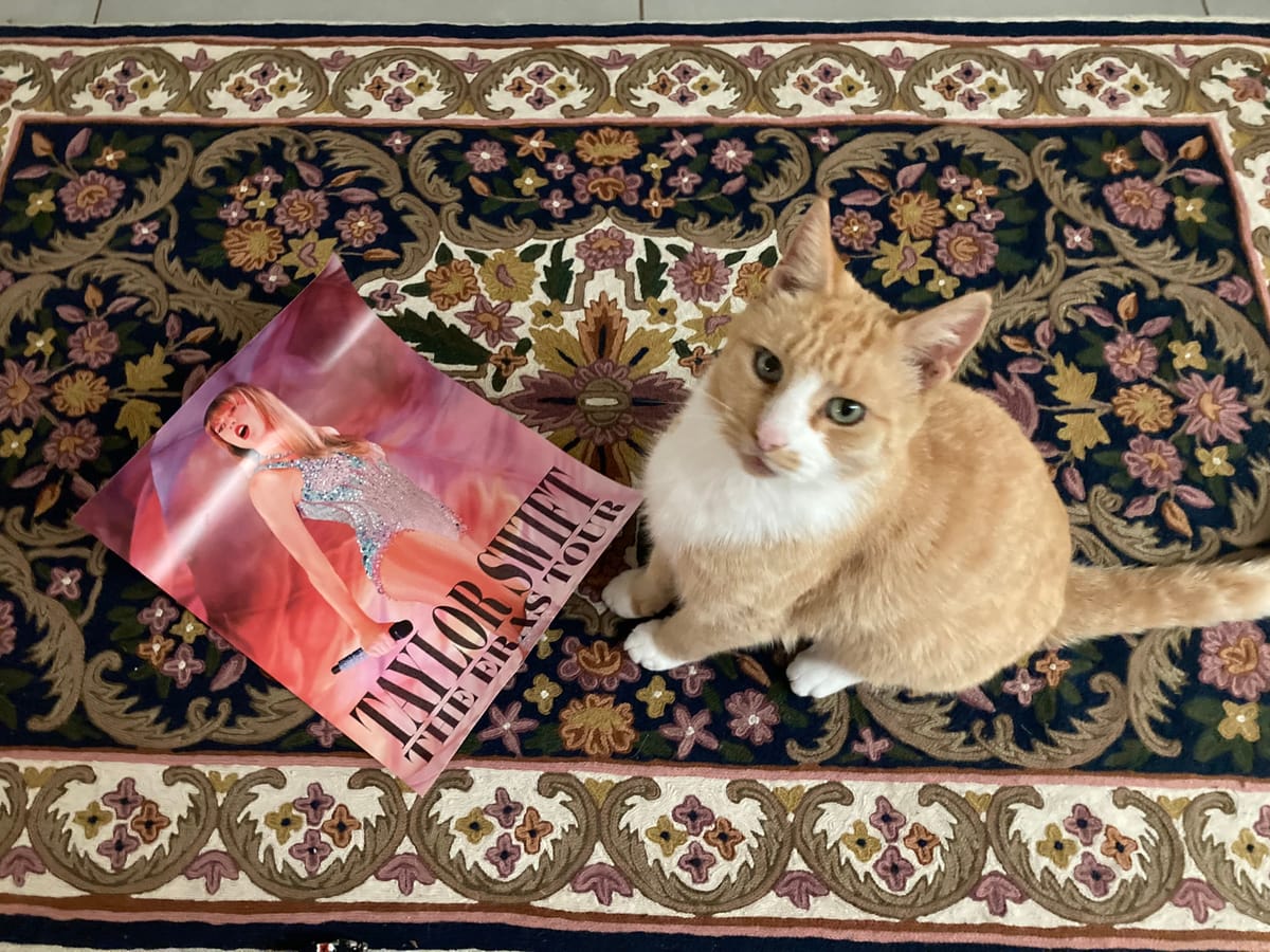 He's Writing About Taylor Swift Again, Delete