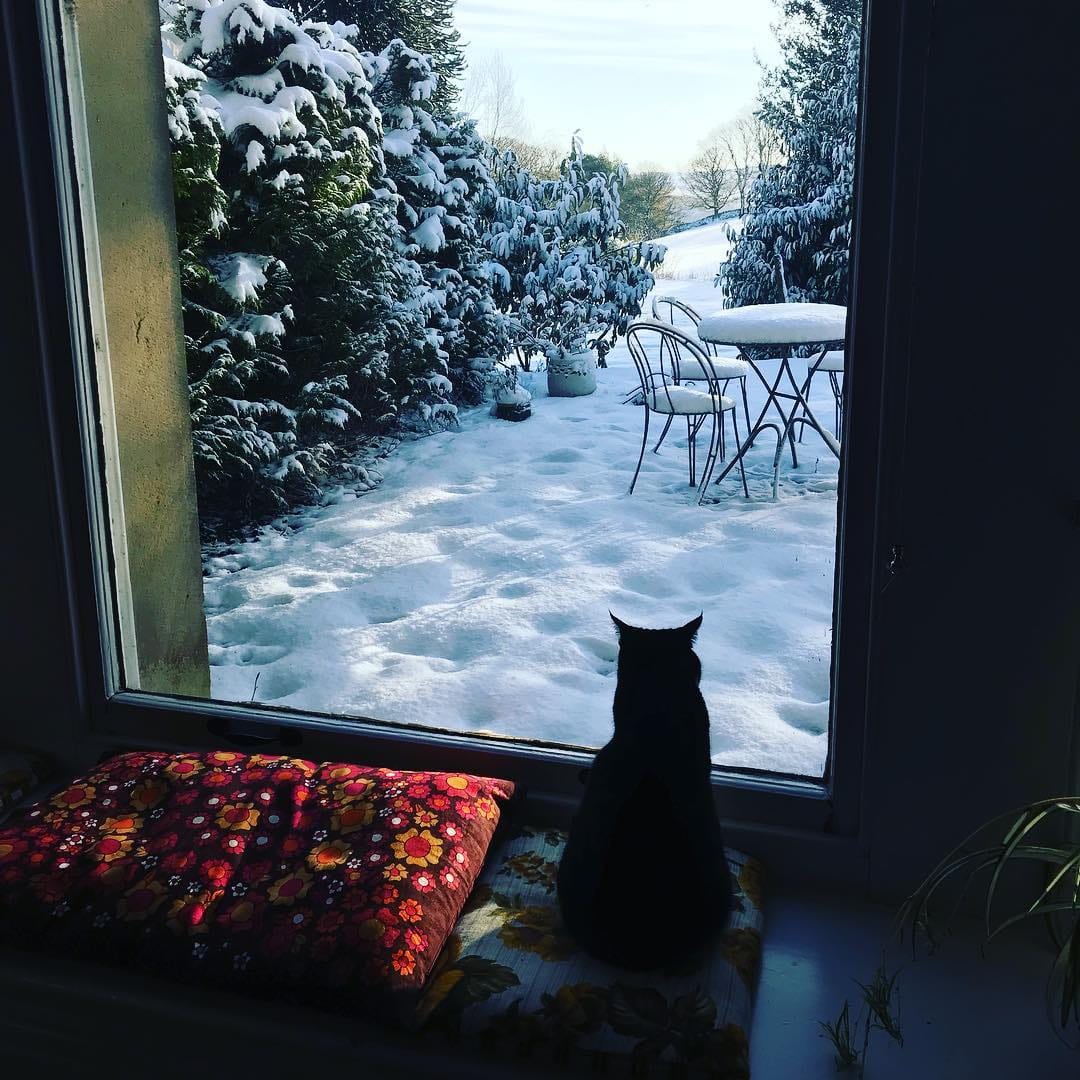 The Cat: A Folk Tale For Midwinter