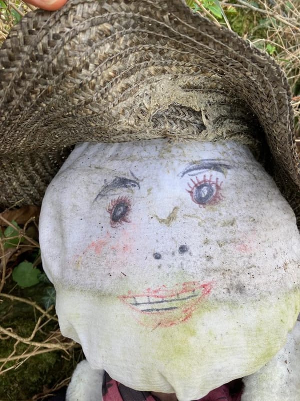 Owls, The Wire Man of Warleggan, Scarecrows and more...