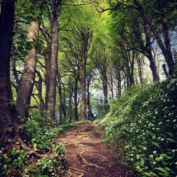 Three Magical Walks Very Few People Know About