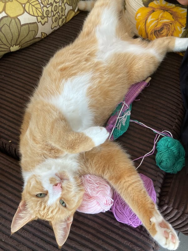 The Ginger Man