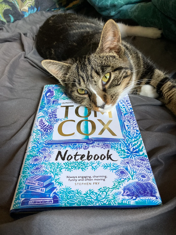My Notebook