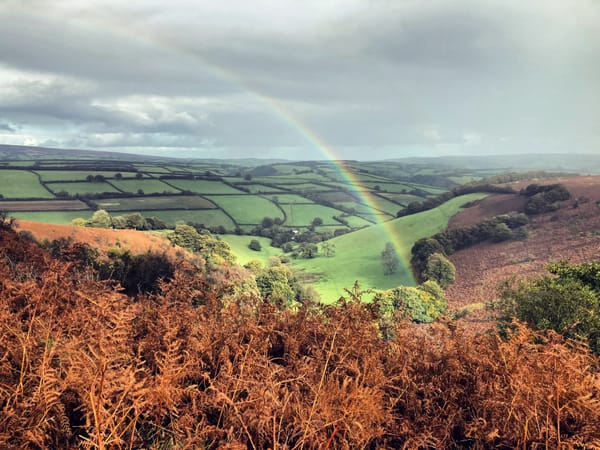 Notes From Exmoor