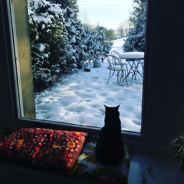 The Cat: A Folk Tale For Midwinter